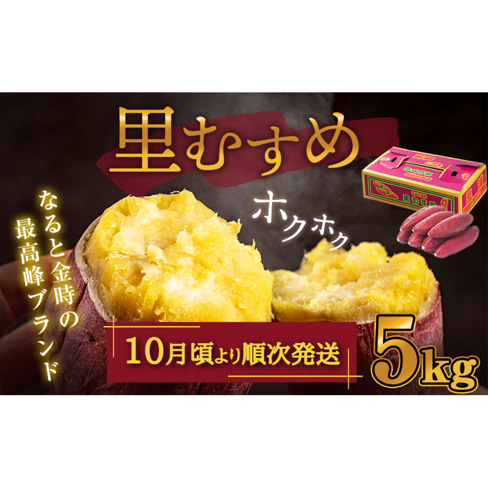 なると金時（里むすめ）5kg さつまいも 鳴門金時 箱入り サツマイモ 野菜 人気 ホクホク さつまいも 野菜 なると金時 里むすめ _イメージ1