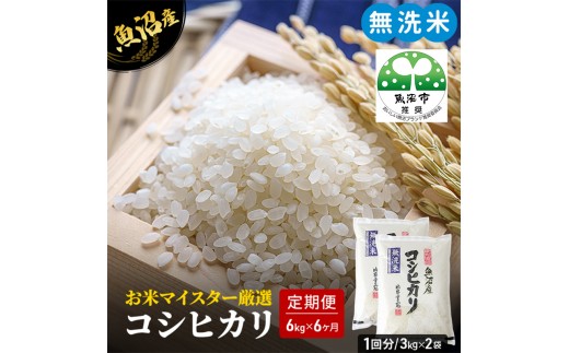 
                  無洗米 定期便 6ヶ月 コシヒカリ 6kg 米 白米 お米 魚沼産コシヒカリ 新潟米 新潟 魚沼市 定期 6回
                