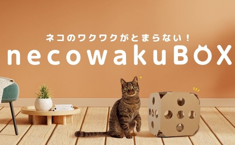 
                  necowakuBOX　｜ネコワクボックス ネコ 猫 ねこ ねこグッズ おもちゃ ペット ペット用品 ねこ  ネコワク
                