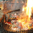【ふるさと納税】まこっちゃん うまうま焼き鳥Aセット:A090-016