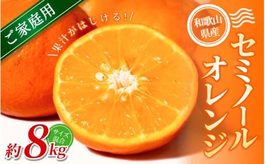 【ご家庭用】手選別 セミノールオレンジ 約8kg 和歌山県産 2S~2Lサイズ混合※2026年4月中旬～6月上旬頃に順次発送【mrmt050】