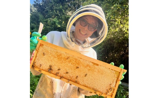 BeeCampのはちみつ ホリデー・セット | 春のはちみつ 夏のはちみつ 2瓶 セット ギフト 国産 非加熱 純粋 生はちみつ 百花蜜