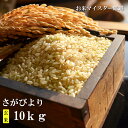 【ふるさと納税】【11月より発送開始】新米 令和6年産 佐賀県産 さがびより 10kg 玄米 お米 米 国産 九州産 佐賀県 鹿島市 送料無料 B-21