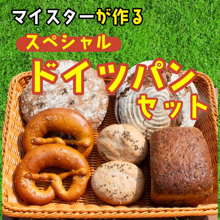 【ふるさと納税】マイスターが作るスペシャル ドイツパンセット 自家製ライ麦天然酵母 使用【 長野県飯山市 ハード系 ドイツパン ライ麦 雑穀パン ブレッツェル マイスター ドイツパン】