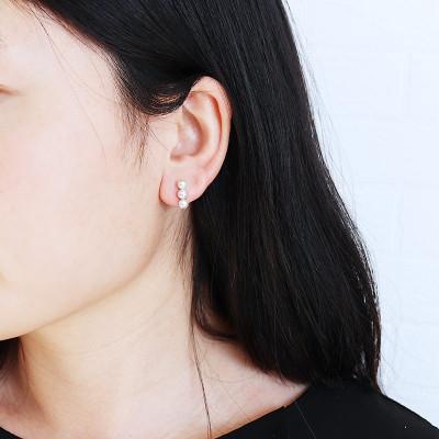 ふるさと納税 志摩市 志摩産アコヤ真珠 4-5ミリ 天然色 ナチュラルブルー 数粒ラインピアス(K14WG) |  | 02