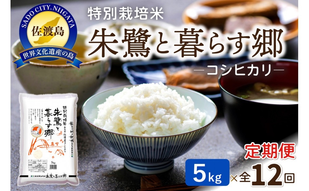 
                  【12か月定期便】佐渡産コシヒカリ「朱鷺と暮らす郷」精米5kg×毎月 合計60kg | 新潟県産コシヒカリ 新潟産コシヒカリ 佐渡産コシヒカリ 新潟県産こしひかり 佐渡産こしひかり 朱鷺と暮らす郷 トキ 朱鷺 お米 米 こしひかり 白米 精米 ブランド米 おこめ コメ 5キロ にいがた さど 新潟県 佐渡市
                