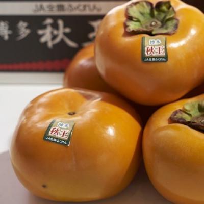 ふるさと納税 赤村 【先行受付】福岡産柿　秋王(あきおう)約1.5kg箱(4-6玉)(赤村) |  | 01