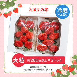 福岡県産あまおういちご　約280g以上×2パック（大粒）【12月〜2月発送】_いちご あまおう 約280g 以上 × 2パック 約560g 大粒 果物 フルーツ みずみずしい ジューシー 甘み 酸味 