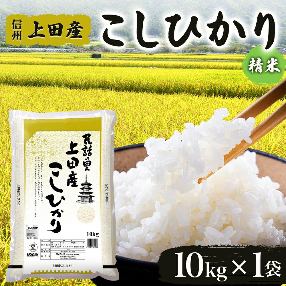 【ふるさと納税】令和7年産 長野県 信州 上田市産 こしひかり 10kg×1袋 計10kg 精米 白米 ブランド米 銘柄米 コシヒカリ ご飯 ライス お弁当 おにぎり 主食 国産 日本産 和食 お取り寄せ