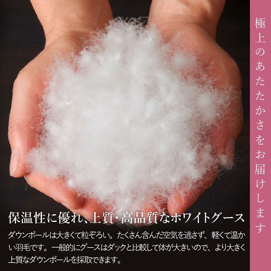 【甲州羽毛肌掛けふとん】ウクライナホワイトグース93%超長綿 ホワイト（ダブル) ふとんカバー付
