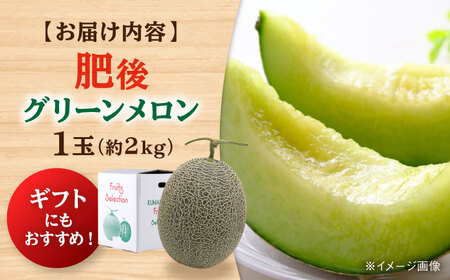 【先行予約】【数量限定】肥後グリーンメロン 1玉 計約2kg 【合同会社 福福堂】[AYAC053]