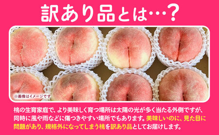 桃 あら川の桃 訳あり ご家庭用 4kg 坂口農園《2025年6月下旬-8月下旬頃より出荷予定》 和歌山県 紀の川市 桃 もも モモ 白鳳 日川白鳳 紀の里白鳳 清水白桃 川中島白桃 なつっこ あら川