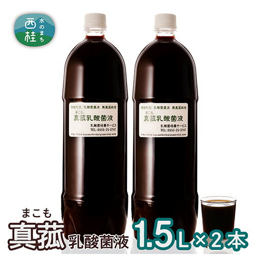 【ふるさと納税】No.103 真菰（まこも）乳酸菌液　1.5L×2本 ／ マコモ 無農薬栽培 送料無料 山梨県