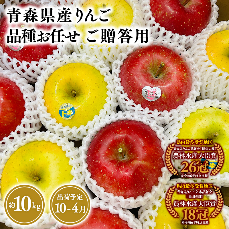 品種お任せ　贈答用　旬のりんご詰め合わせ10ｋｇ