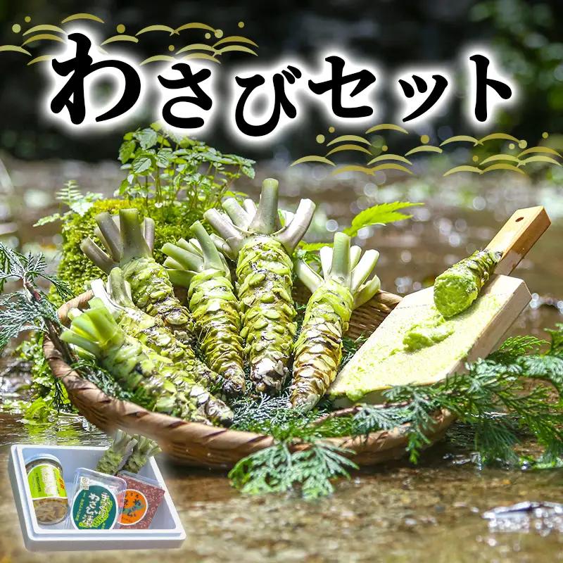 わさび セット 生わさび 2本 わさび漬け わさび味噌 わさび