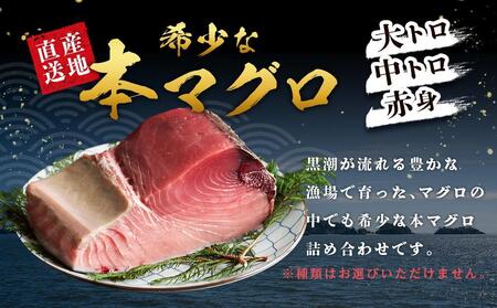 本場南紀から産地直送！ 本マグロ トロ+赤身セット 500g | 大トロ 中トロ 鮪 刺身 寿司