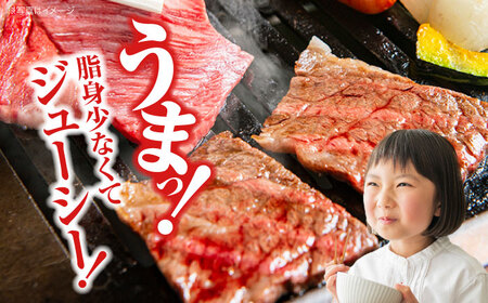 【全6回定期便】牛肉 焼肉 肩ロース 300g [APAZ071] 牛肉