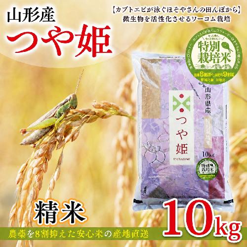 令和7年度産 山形産 「つや姫」10kg (精米) 特別栽培米 8割減農薬・9割減化学肥料（当地比）【カブトエビが泳ぐほそやさんの田んぼから】微生物を活性化させるワーコム栽培 FY26-269