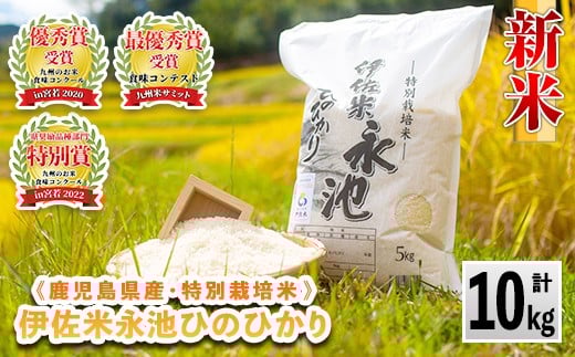 A4-06 ＜先行予約受付中！2025年10月中旬から順次発送＞《数量限定》令和7年産 新米 特別栽培米 伊佐米永池ひのひかり(10kg) 伊佐市 永池 特産品 伊佐米 九州米サミット 食味コンテスト 最優秀賞受賞 ヒノヒカリ 10kg 【エコファーム永池】