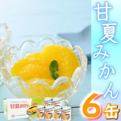 ふるさと納税 宇城市 【 JA 熊本うき】三角特産 甘夏みかん缶詰 6缶入り★