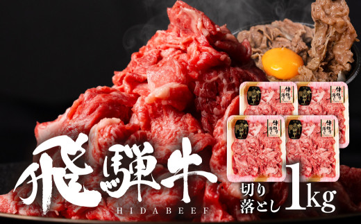 飛騨牛切り落し 1kg (250g×4p) 牛肉 和牛 国産 すきやき 肉じゃが カレー ビーフシチュー 肉野菜炒め だるまミート 18000円 [S933]