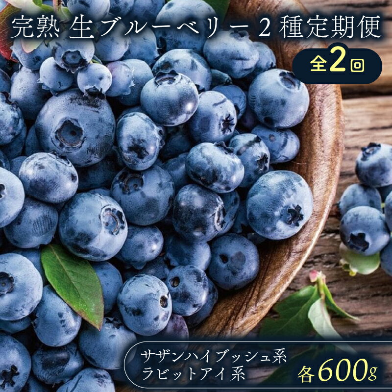 【ふるさと納税】 農家直送 完熟生ブルーベリー サザンハイブッシュ系 ラビットアイ系 600g 2回 定期便 2026年発送 早期予約 土佐ひらやま農園 ブルーベリー フルーツ 果物 くだもの 食品 人気 美容 おすすめ 期間限定 数量限定 高知県 南国市