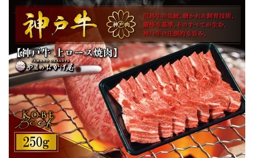 神戸牛 上ロース焼肉 250g AG040 神戸牛 神戸ビーフ 神戸beef 但馬牛 和牛 黒毛和牛 国産牛 牛肉 お肉 上ロース 焼肉  ロース 【AS36BB54】