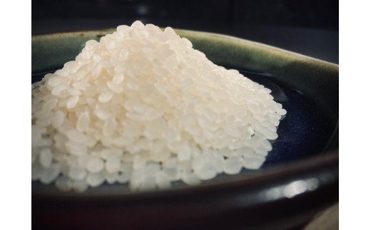 みちくさお勧めのお米（コシヒカリ）5kg こめ 鳥取県江府町産 0367