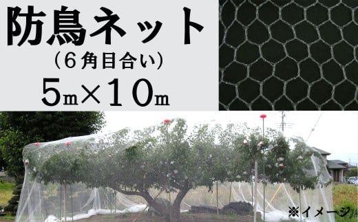 防鳥ネット（６角目合い）５m×１０m