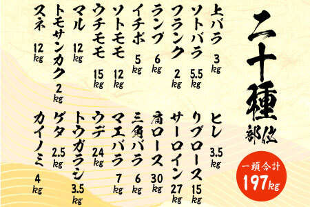 牛一頭まるごと千人前！ 飛騨牛 牛一頭 横綱セット 千人前 計197kg 分割配送 A5等級 すき焼き しゃぶしゃぶ ステーキ 焼肉 BBQ ランプ イチボ カイノミ サーロイン ヒレステーキ ロース