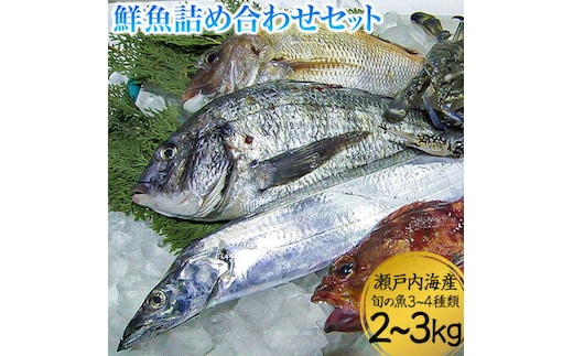 
										
										鮮魚詰め合わせセット 旬の魚3~4種類 2~3kg 株式会社マルキ寄島魚市場《30日以内に出荷予定(土日祝除く)》岡山県 浅口市 瀬戸内海産 海鮮【配送不可地域あり】---124_c69_30d_23_22000_33---
									