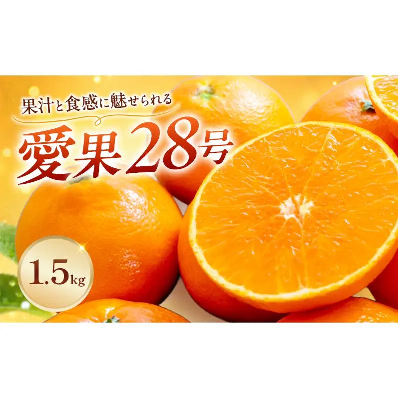 愛果28号 家庭用 紅まどんな同品種 愛媛県産 愛果28号【約1.5kg】【先行予約】
