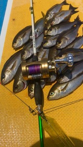 船釣り天秤(浦安アジ・イサキ35)2本セット| フィッシング 釣り 釣り アウトドア 釣具 釣具 釣り餌 船釣り 天秤 アジ アジ イサキ イサキ 釣り アジ釣り 船釣り天秤 浦安アジ・イサキ35 海