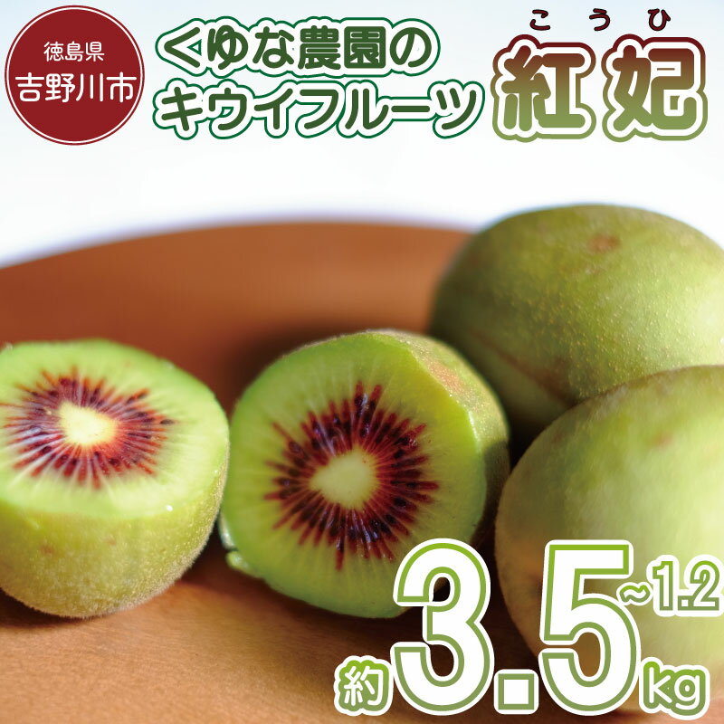 【ふるさと納税】 訳あり キウイフルーツ 1.2～3.6kg 紅妃 キウイの女王 姫 先行予約 レインボーレッド 糖度 20度 甘い 美容 ビタミン 健康 国産 果物 スイーツ ケーキ ゼリー ジュース アイス フルーツ ギフト プレゼント 贈答 送料無料 徳島県 吉野川市 くゆな農園