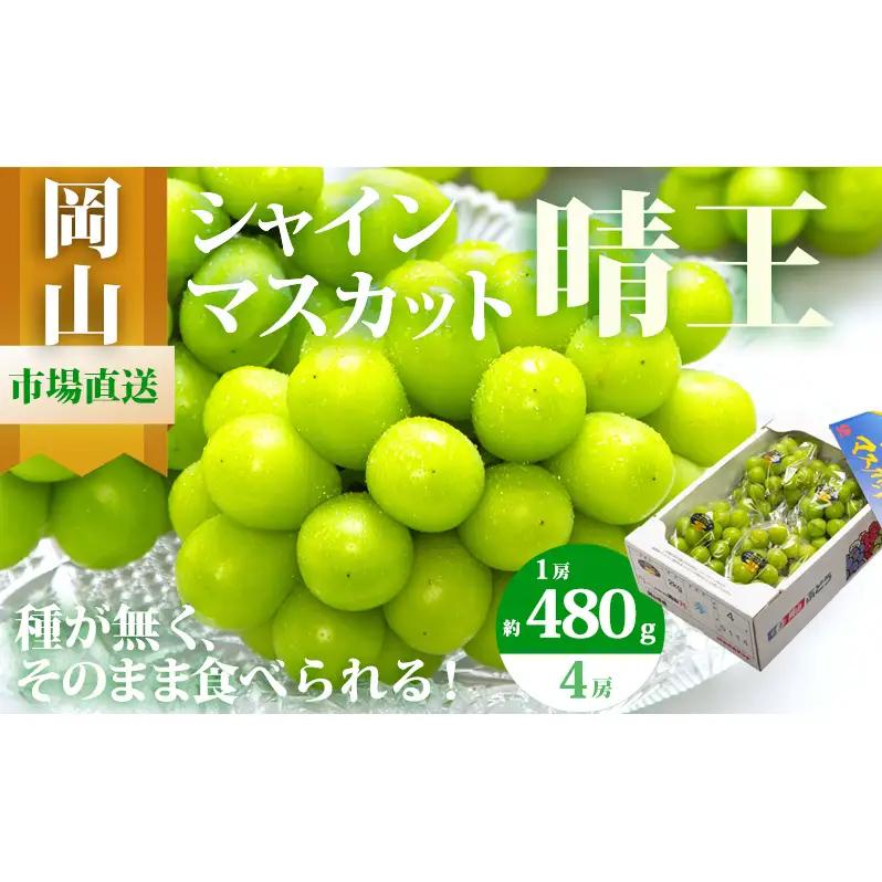 ぶどう 2026年 先行予約 シャイン マスカット 晴王 4房（1房480g以上）約2kg  岡山県産 シャインマスカット