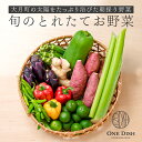 【ふるさと納税】【高知県大月町産】旬のとれたてお野菜セット