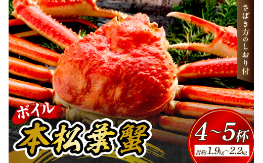 【 国産日本海の松葉蟹をボイルでお届け！ 】【先行予約】本松葉蟹 4～5杯（タグ付き）＜12月10日～2月末までのお届け＞ 国産 魚介類 魚貝類 海の幸 カニ クリスマス 年内配送 年末年始配 【097_0685】