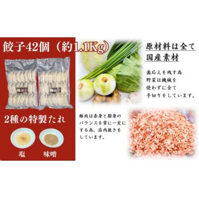 ふるさと納税 宍粟市 福餃子 42個(約1.1Kg)　BO1 |  | 02