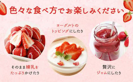 【先行予約】あまおう 等級G 約280g×2パック 計約560g いちご 苺 果物 フルーツ 【2026年2月上旬～2026年3月下旬発送予定】