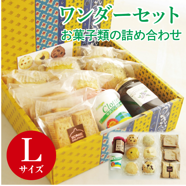 ワンダーセット　Lサイズ （AR-2）
