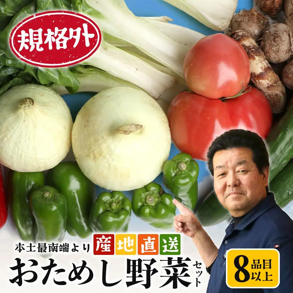 【規格外】本土最南端から 旬のお試し 野菜セット 8品目以上 NI-2 ｜ 旬 野菜 やさい 果物 くだもの 産地直送 農産物 冷蔵 鹿児島県 南大隅町産 詰合せ おまかせ 家庭用 訳あり なんたん市場