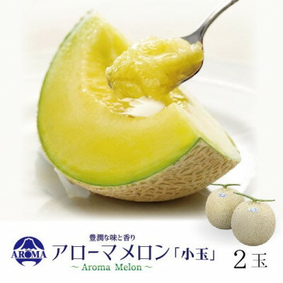 【ふるさと納税】【通年出荷】アローマメロン(小玉) 2玉入【配送不可地域：離島・北海道・沖縄県】【1170105】