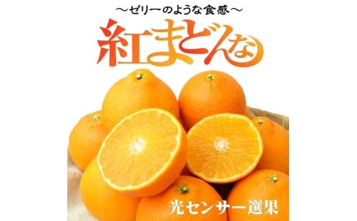 
【先行予約】【2024年11月下旬頃発送】 紅まどんな 約3kg（8~15玉）4L～Lサイズ 愛媛 みかん 紅マドンナ 紅まどんな 蜜柑 柑橘 果物 贈答 愛媛のみかん くだもの フルーツ 愛媛県 松山市
