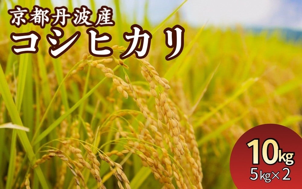 
                  京都丹波産 こしひかり 精米 5kg 2袋 総量 10kg【JA京都たわわ朝霧】白米 米 お米 こめ コメ ライス ご飯 ごはん ふっくら つやつや おいしい 美味しい 贈り物 JA京都 たわわ朝霧 単一原料米 簡易包装 国産 コシヒカリ 仕送り お取り寄せ 令和7年産米 産地直送 人気 おすすめ 5キロ 10キロ ５ｋｇ １０ｋｇ
                