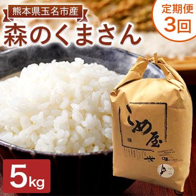 ふるさと納税 玉名市 【毎月定期便】熊本県玉名市産　森のくまさん 5kg全3回
