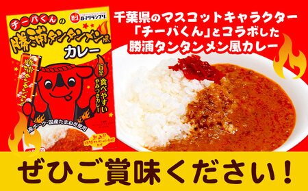 チーバくんの 勝浦 タンタンメン風カレー (180g) 6個セット 一般社団法人勝浦市観光協会《90日以内に出荷予定(土日祝除く)》千葉県 勝浦市 担々麺 カレー ご当地 チーバくん レトルトパウチ 