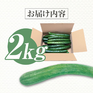 きゅうり 2kg 2キロ キュウリ 野菜 新鮮 サラダ 漬物 浅漬け ぬか漬け 酢の物 炒め物 健康 高知県 土佐清水市【R01451】