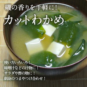  九州産 カットわかめ (計10袋・1袋20g入) 海藻 わかめ 味噌汁 みそ汁 サラダ 酢の物 スープ 国産 九州産 常温 大分県 佐伯市【CW12】【山忠】