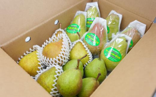 7-014-014 山口さんちの洋梨 3種詰め合わせ 5kg【9月下旬~発