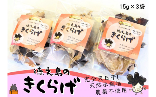 1309 天然水使用・完全天日干し徳之島産きくらげ（3袋）( きのこ 健康 国産 安心 安全 和食 中華料理 こりこり 料理 天然水 中華丼 汁物 具材 朝食 昼食 夕食 )